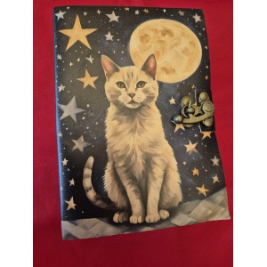 Grimoire M chat et Lune