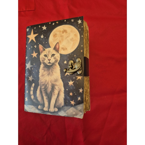 Grimoire M chat et Lune1