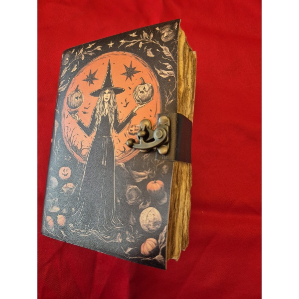 Grimoire M Livre Sorcière2