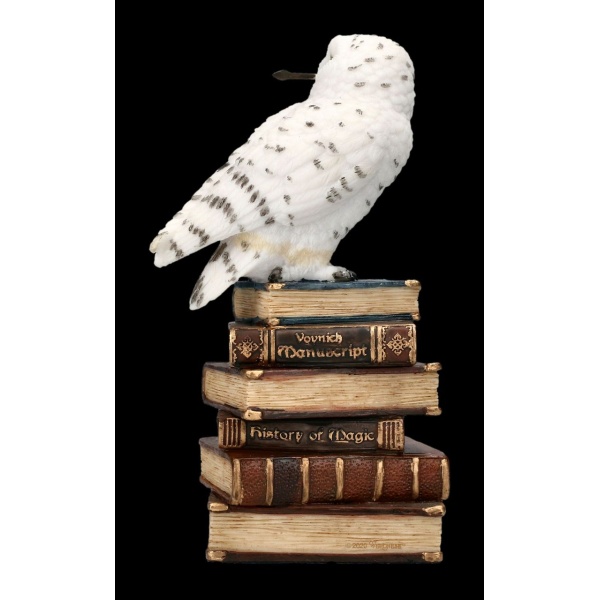 Chouette des neiges avec baguette magique sur grimoires2