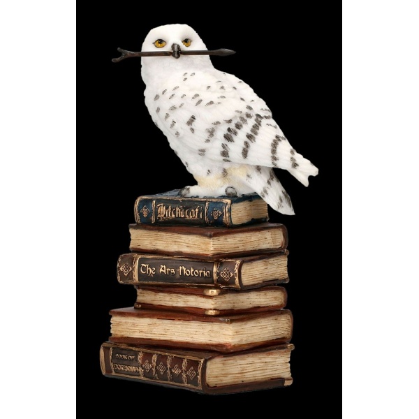Chouette des neiges avec baguette magique sur grimoires