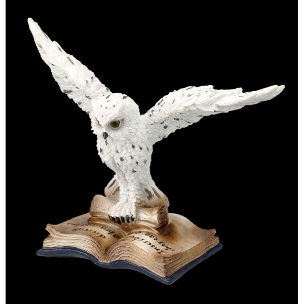 Chouette des neiges sur livre de magie