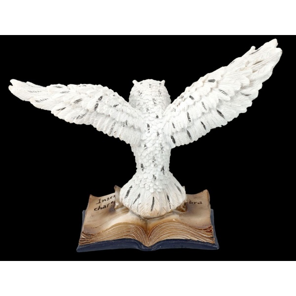 Chouette des neiges sur livre de magie2