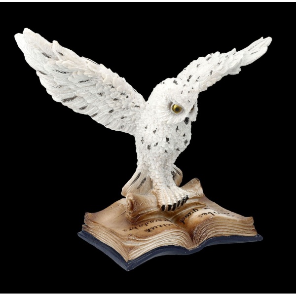 Chouette des neiges sur livre de magie1